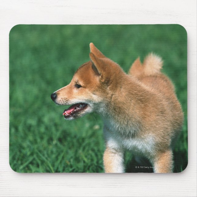 Japanisch Midget Shiba Mousepad (Vorne)