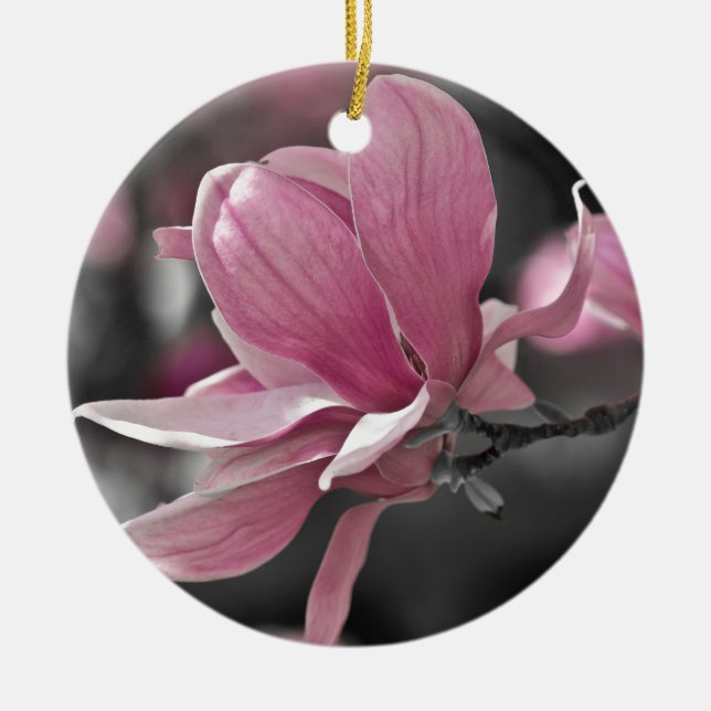 Japanisch Pink Saucer Magnolia Keramikornament (Vorne)
