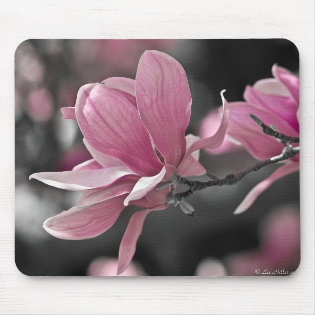 Japanisch Pink Saucer Magnolia Mousepad (Vorne)
