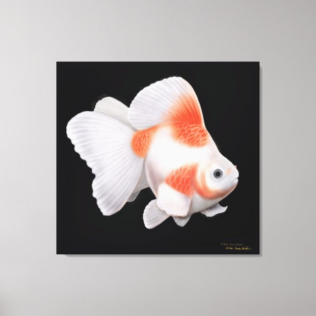 Japanisch Ryukin Fantail Goldfish umarmte Canvas Leinwanddruck (Vorderseite)