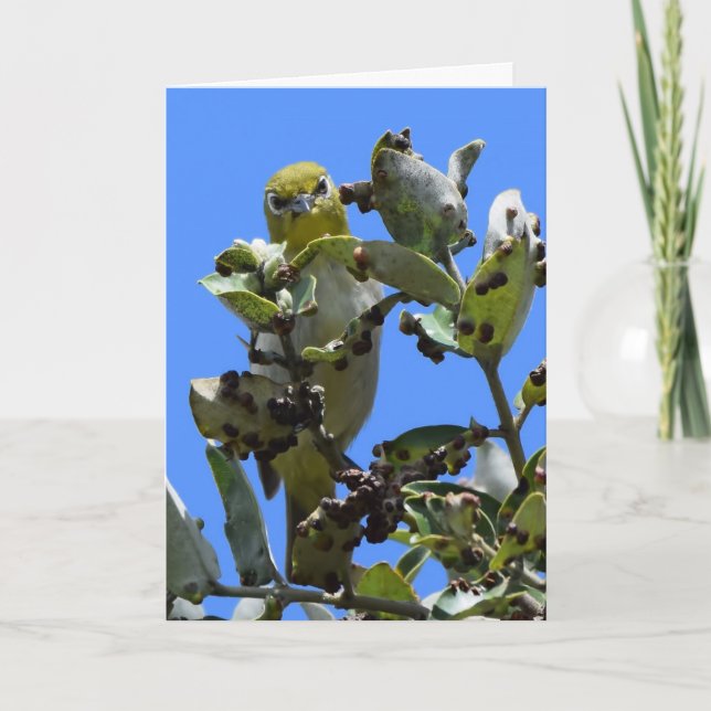 Japanisch Weißauge schauend mich an Karte (Vorderseite)