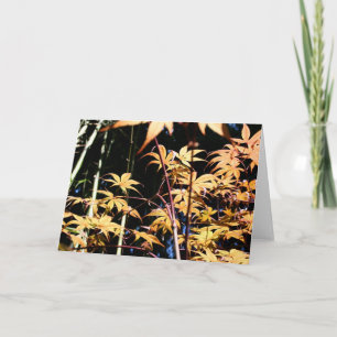 Japanische Ahorn 5 Floral Fotografie HGC Karte