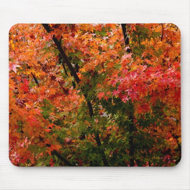 Japanische Ahorn im Herbst Mousepad (Vorne)