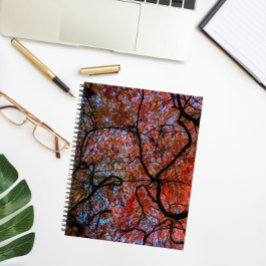 Japanische Ahornbaumzweige im Frühherbst Foto Notizbuch