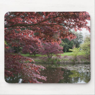 Japanische Ahorne im Van Dusen Botanical Garden Mousepad