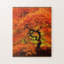 Japanische Ahornsorte im Herbst Orange Herausforde Puzzle