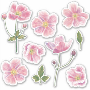 Japanische Anemone-Blume Aufkleber