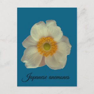 Japanische Anemonen blühen Feiertagspostkarte