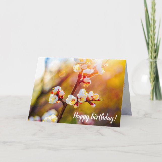 japanische Apricot-Blume bei heißem Orange Sunset Karte (Vorderseite)