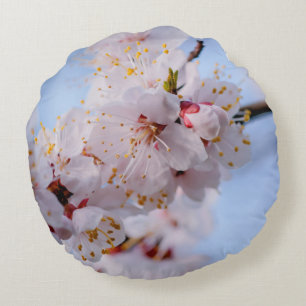 Japanische Aprikosenblüte Rundes Kissen