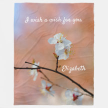 Japanische Aprikosenblüten