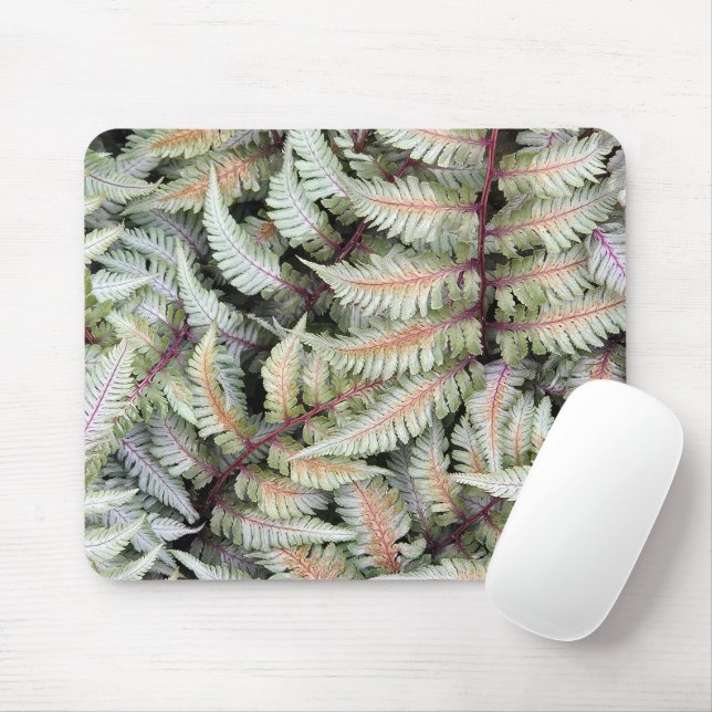 Japanische Athyrium Pictum Fern Fronds Mousepad (Mit Mouse)