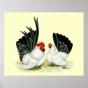 Japanische Blacktail Bantams Poster
