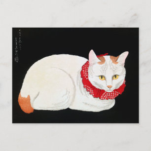 Japanische Bobtail Cat, Shotei Postkarte