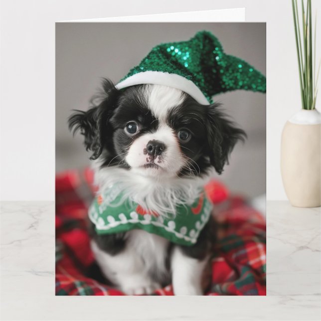 Japanische Chin Elf Welppy-Weihnachtskarte Karte (Vorderseite)