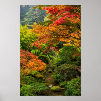 Japanische Gärten im Herbst in Portland, Oregon 2