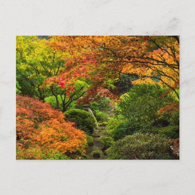 Japanische Gärten im Herbst in Portland, Oregon 2 Postkarte (Vorderseite)