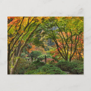 Japanische Gärten im Herbst in Portland, Oregon 4 Postkarte