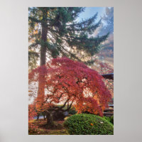 Japanische Gärten im Herbst in Portland, Oregon 6