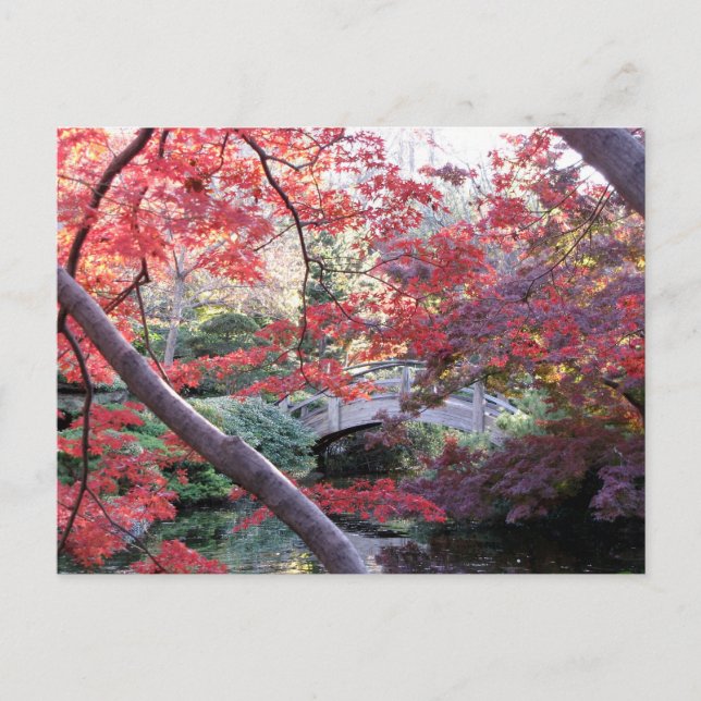 Japanische Gartenbrücke hinter roten Herbstmapsen Postkarte (Vorderseite)
