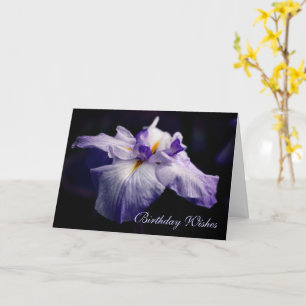 Japanische Iris Blume Beauty Birthday Karte
