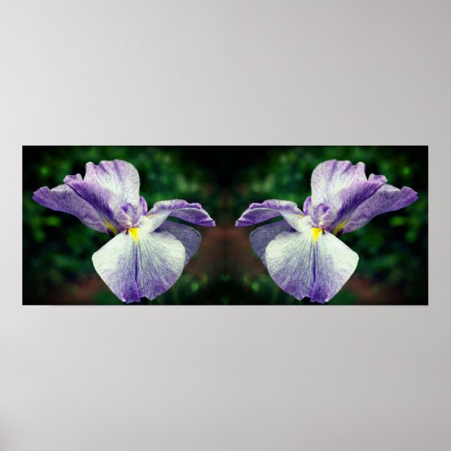 Japanische Iris-Blume entfaltet Mirror Abstrakt Poster (Vorne)