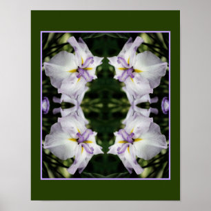 Japanische Iris-Blume in Bloom Abstrakt Poster