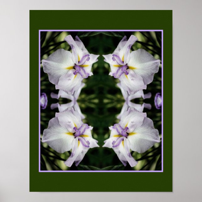 Japanische Iris-Blume in Bloom Abstrakt Poster (Vorne)