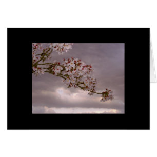 Japanische Karten-Kirschblüten