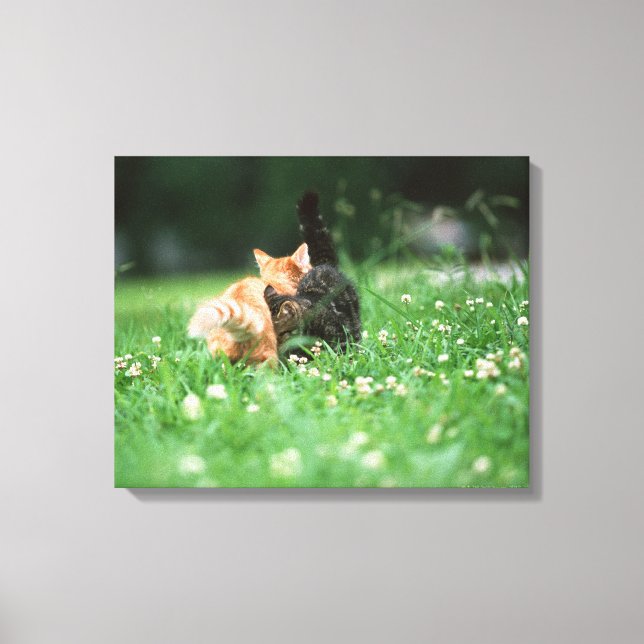 Japanische Katze 4 Leinwanddruck (Vorderseite)
