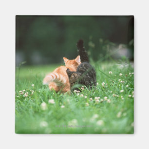 Japanische Katze 4 Magnet