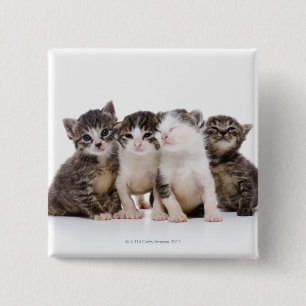 Japanische Katze Button