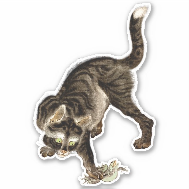 Japanische Katze fängt einen Frosch Aufkleber (Vorderseite)
