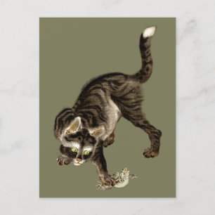 Japanische Katze fängt einen Frosch Postkarte