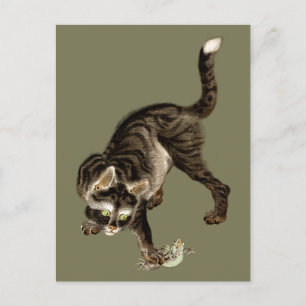Japanische Katze fängt einen Frosch Postkarte