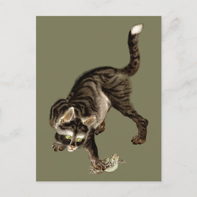Japanische Katze fängt einen Frosch Postkarte (Vorderseite)