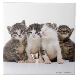 Japanische Katze Fliese