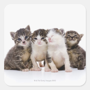 Japanische Katze Quadratischer Aufkleber