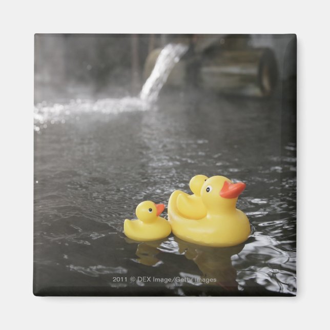 Japanische Kautschukküken Magnet (Vorne)