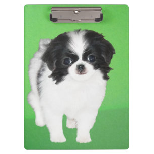 Japanische Kinofilme - Original Hundeschichte Klemmbrett