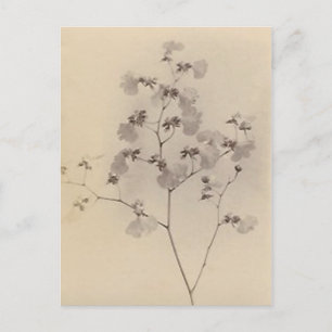 Japanische Kirschblüten-Postkarte Postkarte