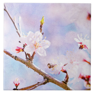 Japanische Kirsche - Sakura in Bloom Fliese