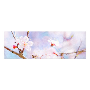 Japanische Kirsche - Sakura in Bloom Fotodruck