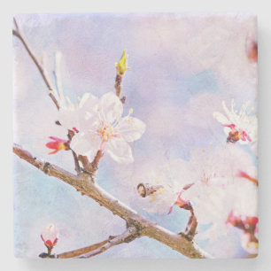 Japanische Kirsche - Sakura in Bloom Steinuntersetzer