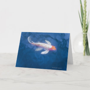 Japanische Koi-Fische im Teich, Hochwinkel Karte