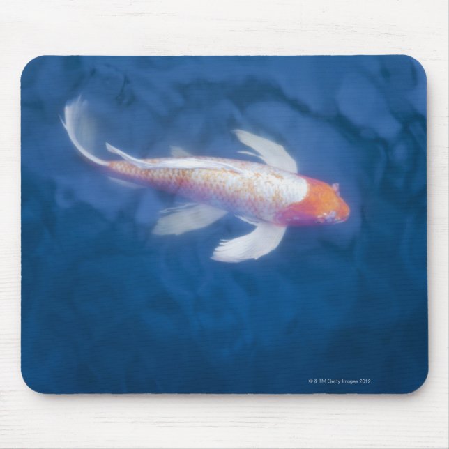 Japanische Koi-Fische im Teich, Hochwinkel Mousepad (Vorne)