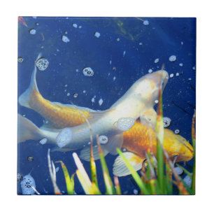 japanische koi Teichfliese Fliese