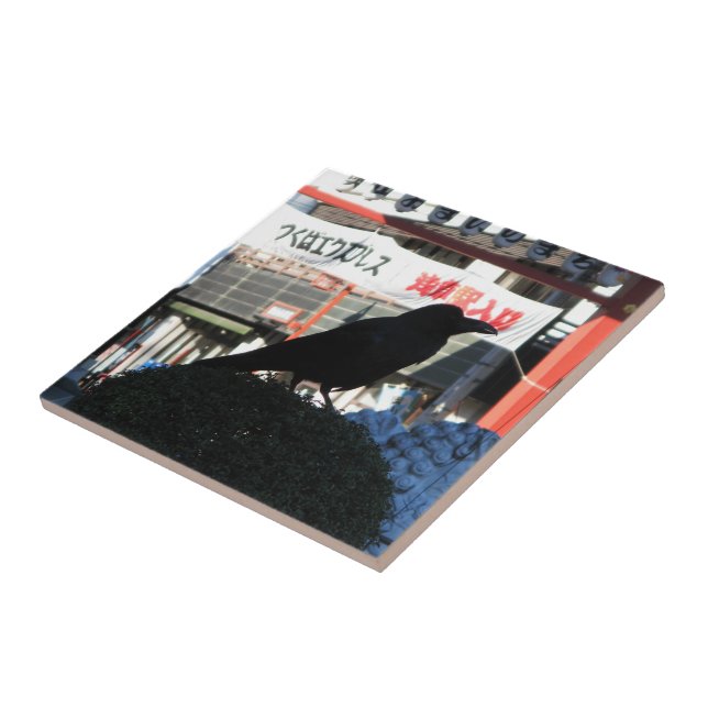 Japanische Kruge Fliese (Seite)