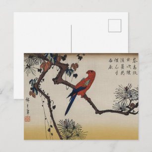 Japanische Kunst,Macaw auf der Kiefernabzweigung v Postkarte