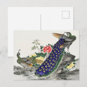 Japanische Kunst, Pfau und Pony von Numata Kashu Postkarte